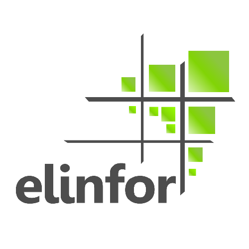 Elinfor Logo
